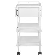 Cosmetology trolley 1019 GIOVANNI Cosmetology trolley 1019 GIOVANNI