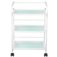 Kosmetikwagen 1013 GIOVANNI Kosmetikwagen 1013 GIOVANNI