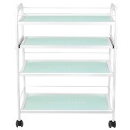 Kosmetologinis vežimėlis 1015 GIOVANNI Kosmetologinis vežimėlis 1015 GIOVANNI