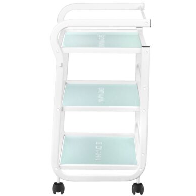 Cosmetology trolley 1013 GIOVANNI 2