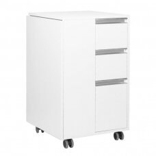 Saliekams manikīra galds DESK FOLDING 2038 WHITE
