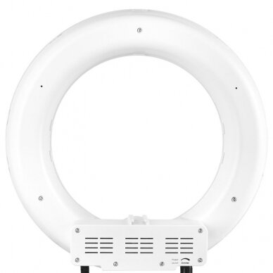 Kosmetologinė LED lempa makiažui su stovu RING LIGHT 12 35W WHITE 4
