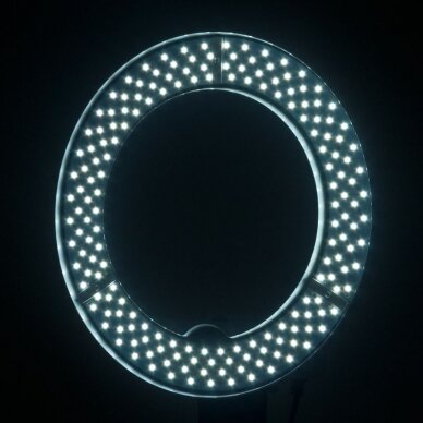 Kosmetologinė LED lempa makiažui su stovu RING LIGHT 12 35W WHITE 9