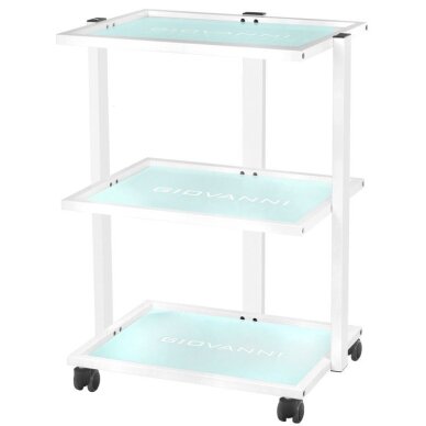Косметологическое кресло BASIC WHITE + Тележка косметолога 1040 GIOVANNI + Косметологическая лампа с лупой и подставкой  S5 5D 12W WHITE 7