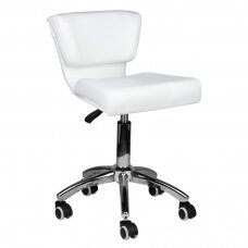 Tool meistri jaoks STOOL BEAUTY BACKREST 227 WHITE