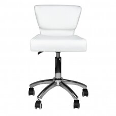 Tool meistri jaoks STOOL BEAUTY BACKREST 227 WHITE