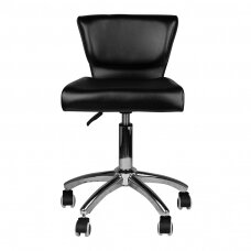 Tool meistri jaoks STOOL BEAUTY BACKREST 227 BLACK