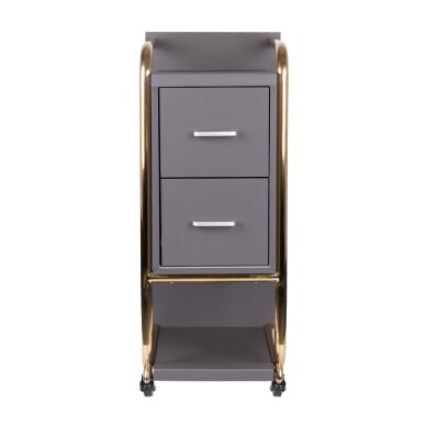 Meistrikäru GABBIANO HAIRDRESSER HELPER SOLO MODEL GOLD GREY 2