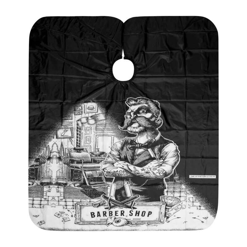 Friziera apmetnis J-16 1 Friziera apmetnis J-16 1