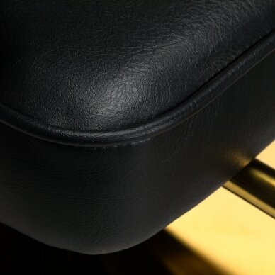 Frizieru krēsls HAIR SYSTEM PROFESSIONAL HAIRDRESSING CHAIR LINZ GOLD BLACK 7
