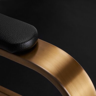 Kampaamotuoli GABBIANO PROFESSIONAL HAIRDRESSING CHAIR AVILA GOLD BLACK 5 Kampaamotuoli GABBIANO PROFESSIONAL HAIRDRESSING CHAIR AVILA GOLD BLACK 5