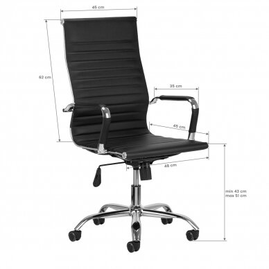 Kontoritool ratastel ERGOLIFE BLACK 5