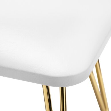 Manikiūro porankis PROFESSIONAL ELEGANCE GOLDEN WHITE 2