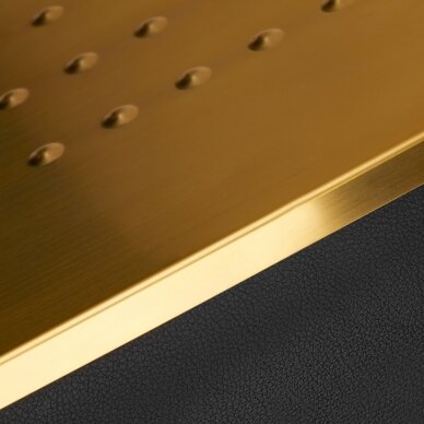 Friziera izlietne Gabbiano Diana Gold Black 8