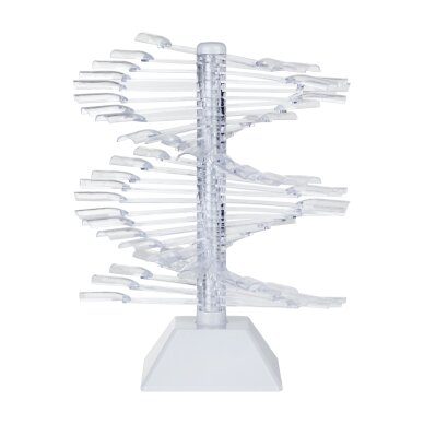 Pystysuora kynsilakkaväriteline, WZ23 (60 kpl) 1 Pystysuora kynsilakkaväriteline, WZ23 (60 kpl) 1