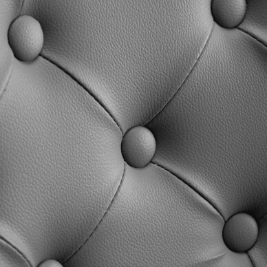 Kirpyklos kėdė GABBIANO PROFESSIONAL HAIRDRESSING CHAIR GRANADA GOLD GRAY 4 Kirpyklos kėdė GABBIANO PROFESSIONAL HAIRDRESSING CHAIR GRANADA GOLD GRAY 4