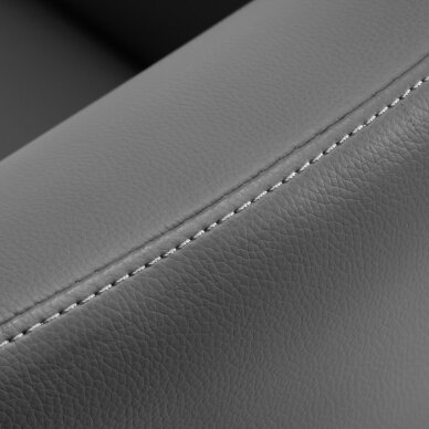 Kampaamotuoli GABBIANO PROFESSIONAL HAIRDRESSING CHAIR MALAGA GOLD GREY 5 Kampaamotuoli GABBIANO PROFESSIONAL HAIRDRESSING CHAIR MALAGA GOLD GREY 5