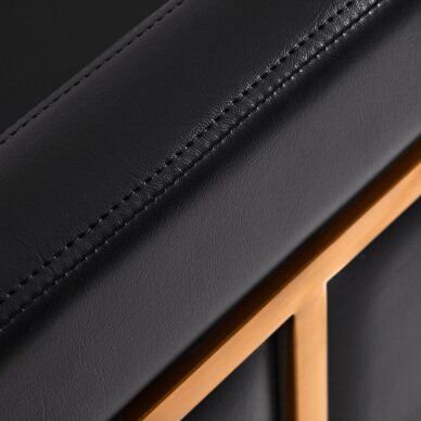 Kirpyklos kėdė GABBIANO PROFESSIONAL HAIRDRESSING CHAIR TOLEDO GOLD BLACK 5 Kirpyklos kėdė GABBIANO PROFESSIONAL HAIRDRESSING CHAIR TOLEDO GOLD BLACK 5