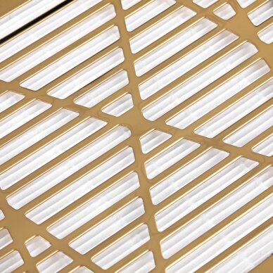 Maniküre staubfänger MOMO GOLD 40W 4 Maniküre staubfänger MOMO GOLD 40W 4