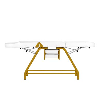 Kosmetoloģijas krēsls BEAUTY CHAIR 557G MODEL GOLD WHITE 6 Kosmetoloģijas krēsls BEAUTY CHAIR 557G MODEL GOLD WHITE 6