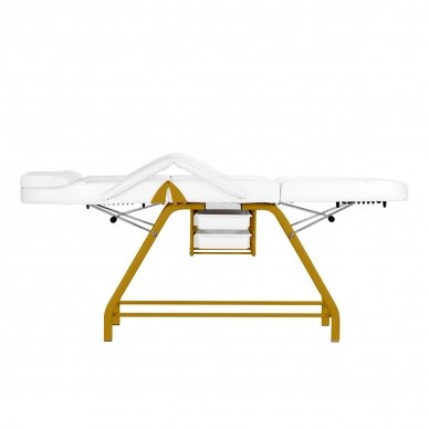 Kosmetoloogia tool BEAUTY CHAIR 557G MODEL GOLD WHITE 7