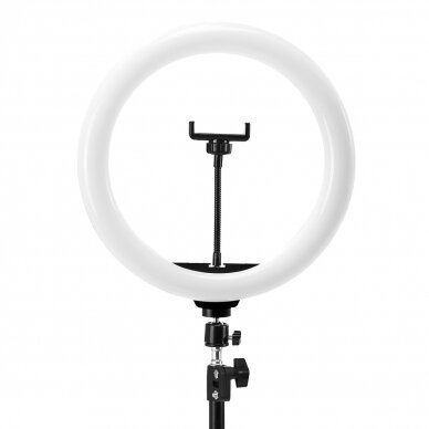 Kosmetologinė LED lempa makiažui su stovu GLOW RING RGB LIGHT 13" 10W 4