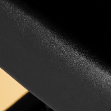 Kampaamotuoli Gabbiano Professional Hairdressing Chair Turin Gold Black 6 Kampaamotuoli Gabbiano Professional Hairdressing Chair Turin Gold Black 6