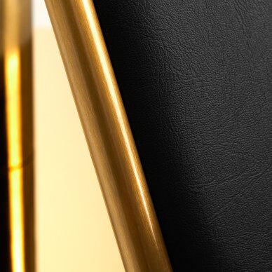 Парикмахерское кресло Gabbiano Professional Hairdressing Chair Linz Black Gold 5