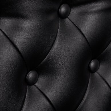 Kampaamotuoli GABBIANO PROFESSIONAL HAIRDRESSING CHAIR BERLIN GOLD BLACK 6 Kampaamotuoli GABBIANO PROFESSIONAL HAIRDRESSING CHAIR BERLIN GOLD BLACK 6