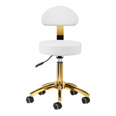 Beautician stool STOOL BEAUTY BACKREST ROUND GOLD WHITE 2