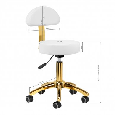 Kosmetoloogiline stool BEAUTY BACKREST ROUND GOLD WHITE 6
