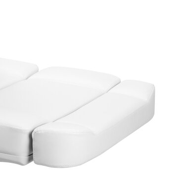 Kosmetoloģijas krēsls Azzurro 803D Electric 3 Motors Professional White 13