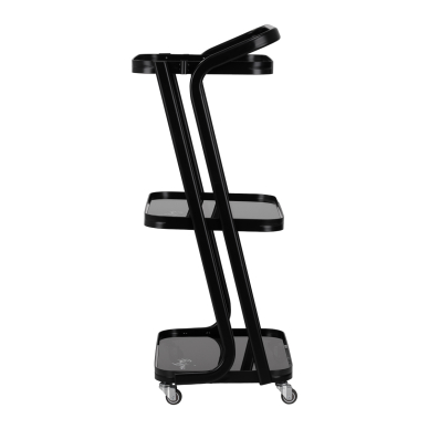Kosmetologin vaunu Tattoo Pro Ink 6701 Black 1