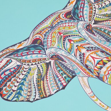 Jogas paklājiņš Balance 1104 6 Jogas paklājiņš Balance 1104 6