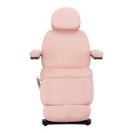 Косметологическое кресло SILLON CLASSIC 3 MOTOR ELECTRIC PINK Косметологическое кресло SILLON CLASSIC 3 MOTOR ELECTRIC PINK