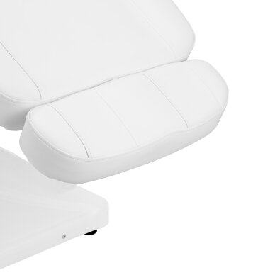 Kosmetologie Stuhl Sillon Luxury Electric 3 Motors White 8