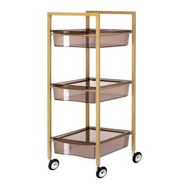 Cosmetology trolley 93 Gold