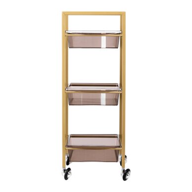 Cosmetology trolley 93 Gold 1