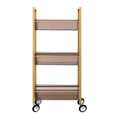Kosmetologin vaunu 93 Gold 2