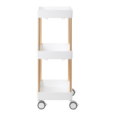 Cosmetology trolley 127 White 2