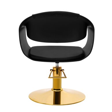 Парикмахерское кресло Gabbiano A364 Gold Black 3