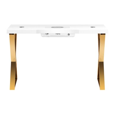 Manicure table with dust collector MOMO 04-GL 1