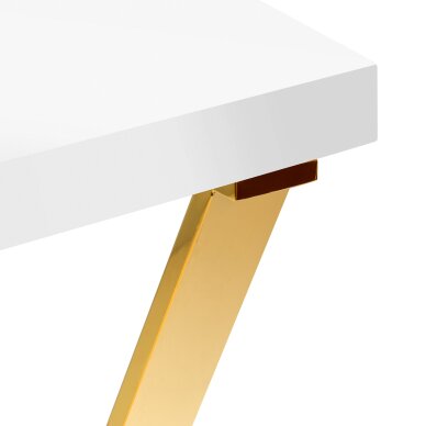 Manicure table with dust collector MOMO 04-GL 4