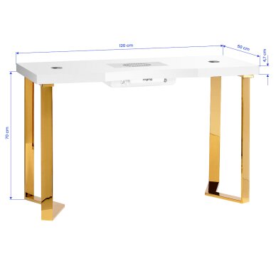 Manicure table with dust collector MOMO 05-GL 16