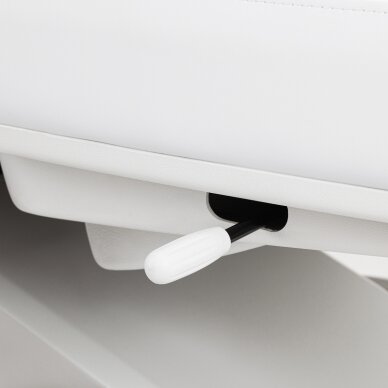 Kosmetologin tuoli Azzurro Lux Pedi Electric 3 Motors White 17