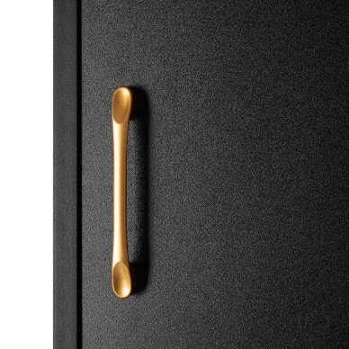 Шкаф для парикмахерской Gabbiano Totem, черно-золотой 8