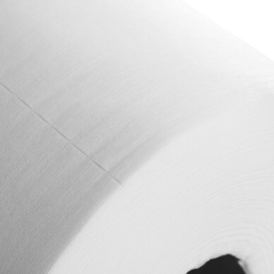 Vienkartiniai neaustiniai rankšluosčiai ritinyje, 100 % viskozė 30 cm x 120 m 1 Vienkartiniai neaustiniai rankšluosčiai ritinyje, 100 % viskozė 30 cm x 120 m 1