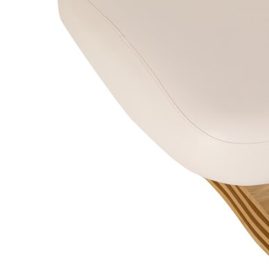 Cosmetic SPA bed Sillon Comfort cream and brown 9 Cosmetic SPA bed Sillon Comfort cream and brown 9