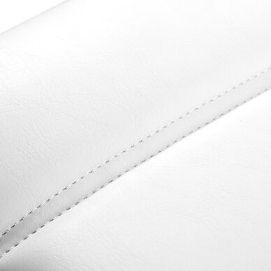 Elektriskais skaistumkopšanas krēsls Azzurro 803D 3M Balts 17