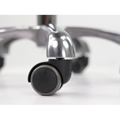 Tool meistri jaoks Alma So Skin Gray 2